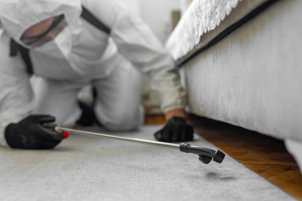 Professional Cockroach Control technician working in Roseland, NJ